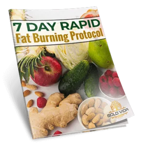 7dayrapid-3d
